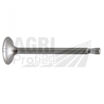 Einlass- und Auslassventil