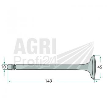 Einlass- und Auslassventil