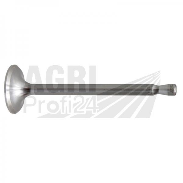 Einlass- und Auslassventil