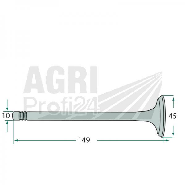 Einlass- und Auslassventil