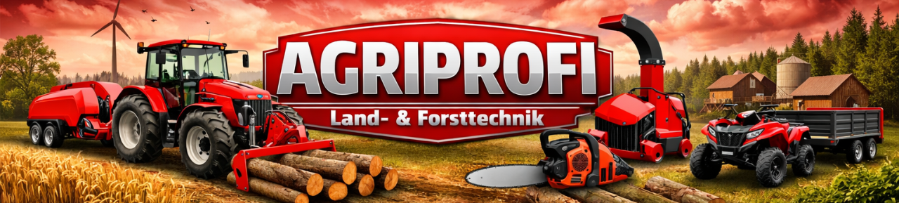 Ebay-Shopbanner